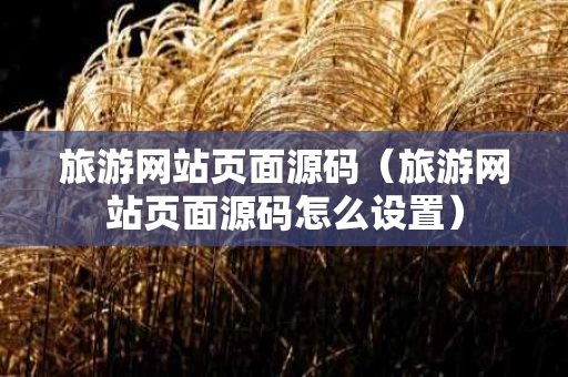 旅游网站页面源码（旅游网站页面源码怎么设置）