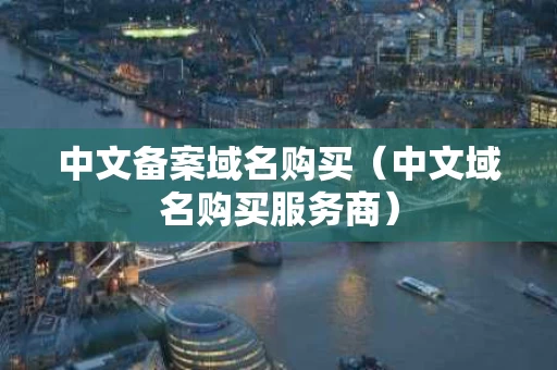 中文备案域名购买（中文域名购买服务商）