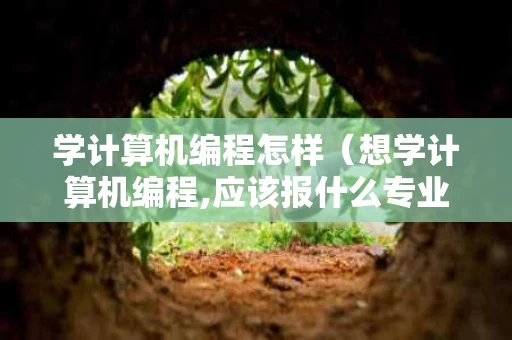 学计算机编程怎样（想学计算机编程,应该报什么专业）