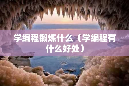 学编程锻炼什么（学编程有什么好处）