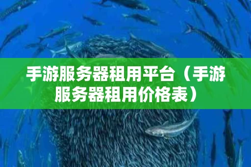 手游服务器租用平台（手游服务器租用价格表）