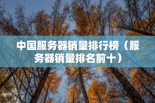 中国服务器销量排行榜（服务器销量排名前十）