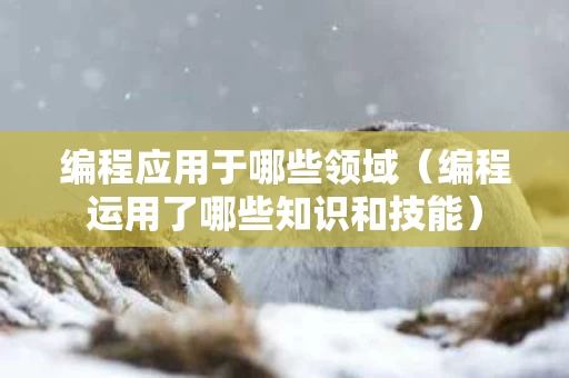 编程应用于哪些领域（编程运用了哪些知识和技能）
