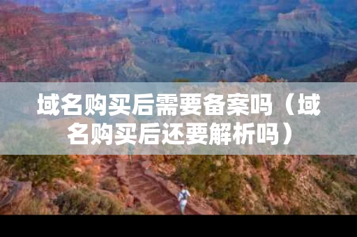 域名购买后需要备案吗（域名购买后还要解析吗）
