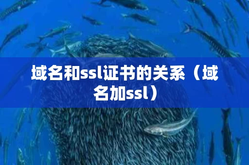 域名和ssl证书的关系（域名加ssl）