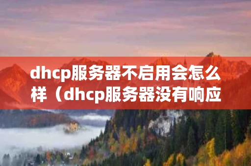 dhcp服务器不启用会怎么样（dhcp服务器没有响应是怎么回事）