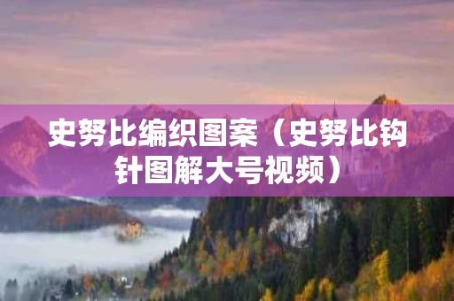 史努比编织图案（史努比钩针图解大号视频）