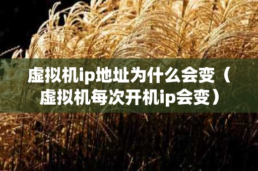 虚拟机ip地址为什么会变（虚拟机每次开机ip会变）
