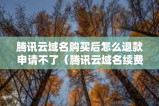 腾讯云域名购买后怎么退款申请不了（腾讯云域名续费多少钱）