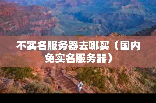 不实名服务器去哪买（国内免实名服务器）