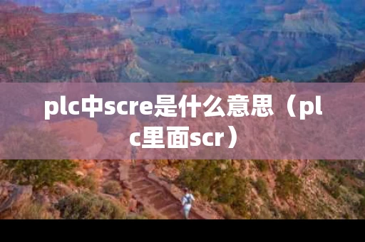 plc中scre是什么意思（plc里面scr）