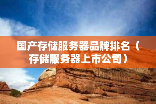 国产存储服务器品牌排名（存储服务器上市公司）