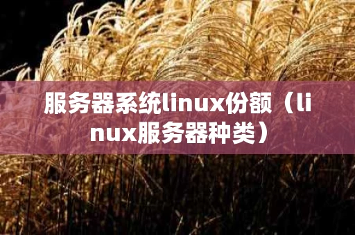 服务器系统linux份额（linux服务器种类）