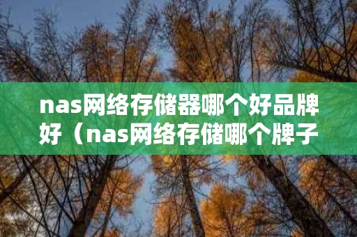 nas网络存储器哪个好品牌好（nas网络存储哪个牌子好）