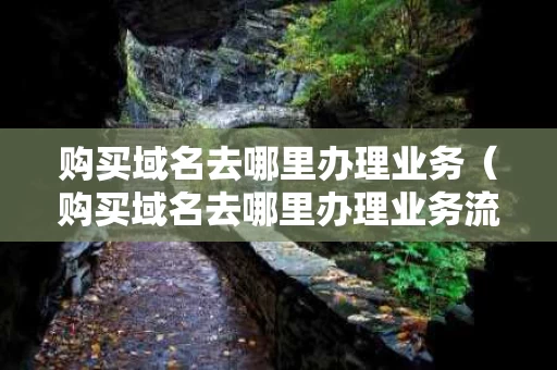 购买域名去哪里办理业务（购买域名去哪里办理业务流程）