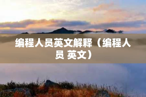 编程人员英文解释（编程人员 英文）