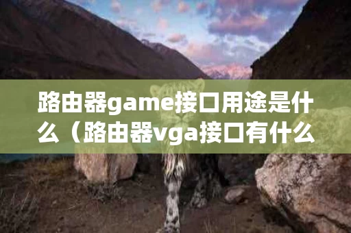 路由器game接口用途是什么（路由器vga接口有什么用）
