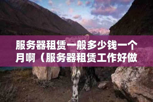 服务器租赁一般多少钱一个月啊（服务器租赁工作好做吗）