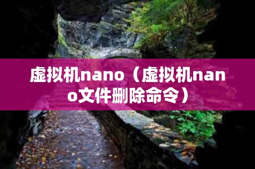 虚拟机nano（虚拟机nano文件删除命令）