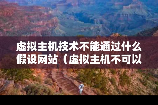 虚拟主机技术不能通过什么假设网站（虚拟主机不可以远程桌面吗）