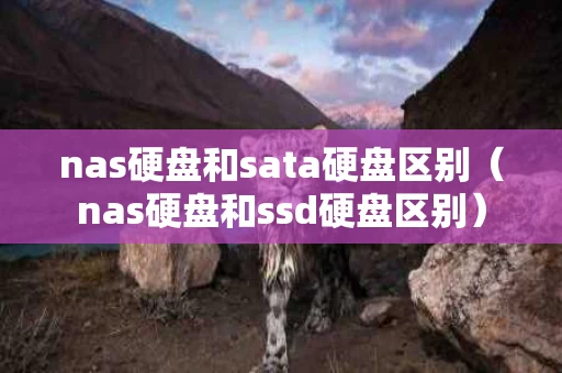 nas硬盘和sata硬盘区别（nas硬盘和ssd硬盘区别）