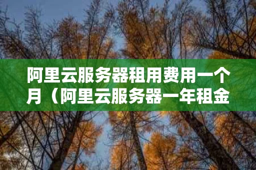 阿里云服务器租用费用一个月（阿里云服务器一年租金）