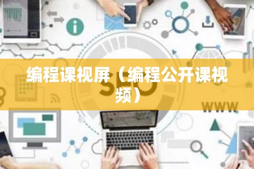 编程课视屏（编程公开课视频）
