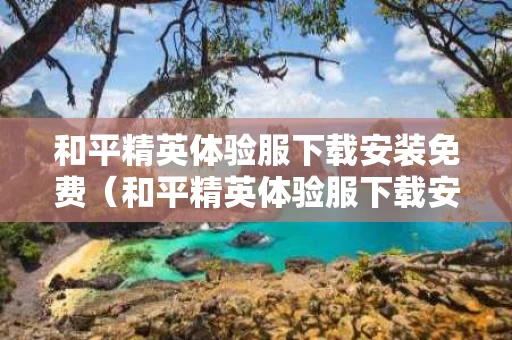 和平精英体验服下载安装免费（和平精英体验服下载安装免费无广告）