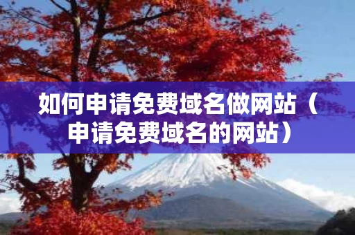 如何申请免费域名做网站（申请免费域名的网站）