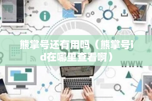 熊掌号还有用吗（熊掌号id在哪里查看啊）
