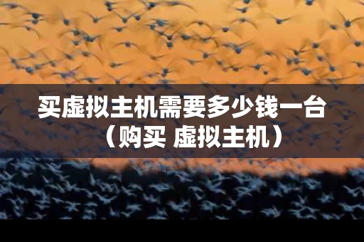 买虚拟主机需要多少钱一台（购买 虚拟主机）