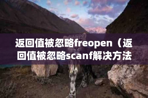 返回值被忽略freopen（返回值被忽略scanf解决方法）