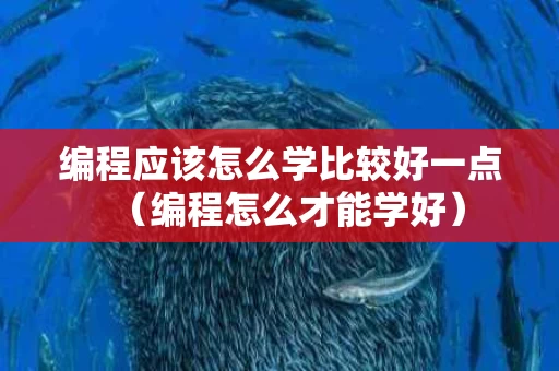 编程应该怎么学比较好一点（编程怎么才能学好）