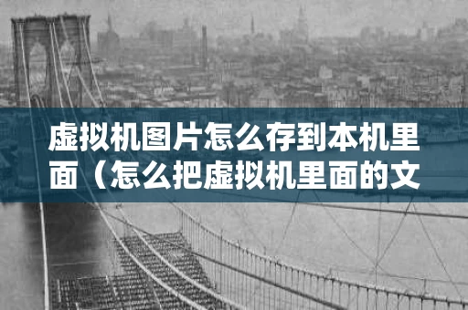 虚拟机图片怎么存到本机里面（怎么把虚拟机里面的文件导出）