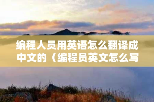 编程人员用英语怎么翻译成中文的（编程员英文怎么写）