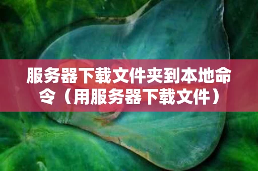 服务器下载文件夹到本地命令（用服务器下载文件）