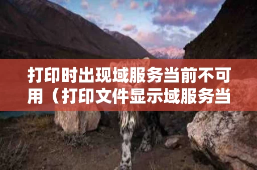 打印时出现域服务当前不可用（打印文件显示域服务当前可不用）