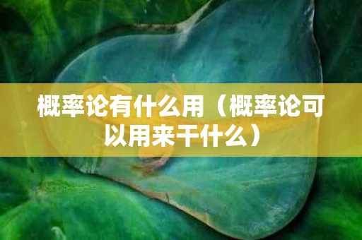 概率论有什么用（概率论可以用来干什么）