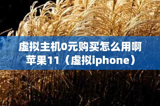 虚拟主机0元购买怎么用啊苹果11（虚拟iphone）