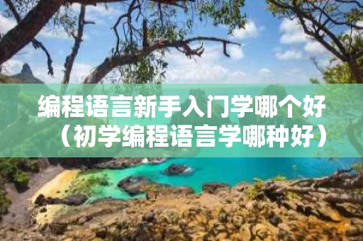 编程语言新手入门学哪个好（初学编程语言学哪种好）