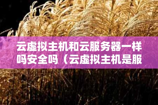 云虚拟主机和云服务器一样吗安全吗（云虚拟主机是服务器吗）