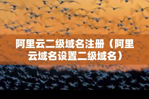 阿里云二级域名注册（阿里云域名设置二级域名）