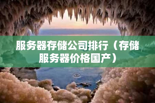 服务器存储公司排行（存储服务器价格国产）