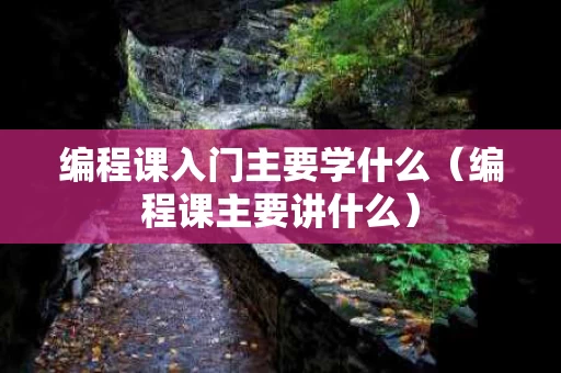 编程课入门主要学什么（编程课主要讲什么）