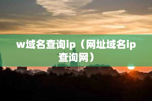 w域名查询ip（网址域名ip查询网）