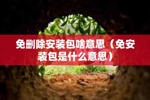 免删除安装包啥意思（免安装包是什么意思）