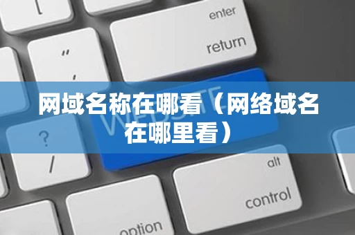 网域名称在哪看（网络域名在哪里看）