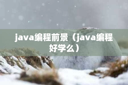 java编程前景（java编程好学么）