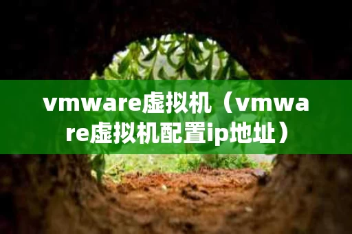 vmware虚拟机（vmware虚拟机配置ip地址）