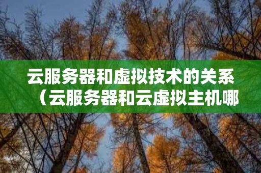 云服务器和虚拟技术的关系（云服务器和云虚拟主机哪个好）